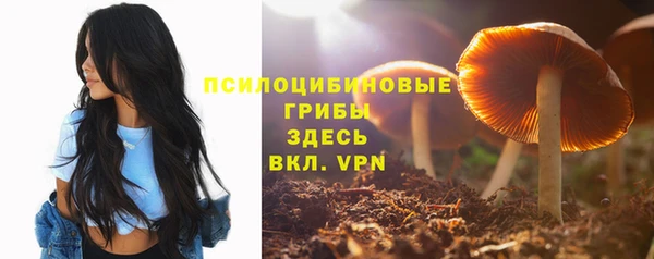 кокс Краснослободск