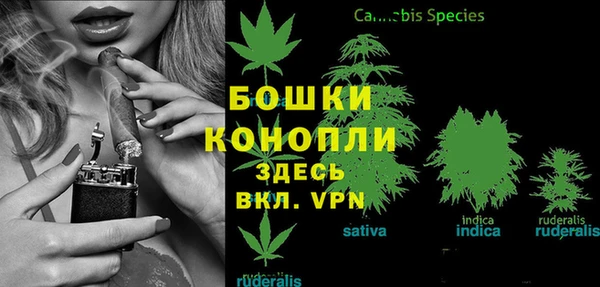 бутират Костерёво